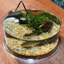 Transparent Acrylic Column Cylinder Aquarium Fish Tank Home Office Desktop