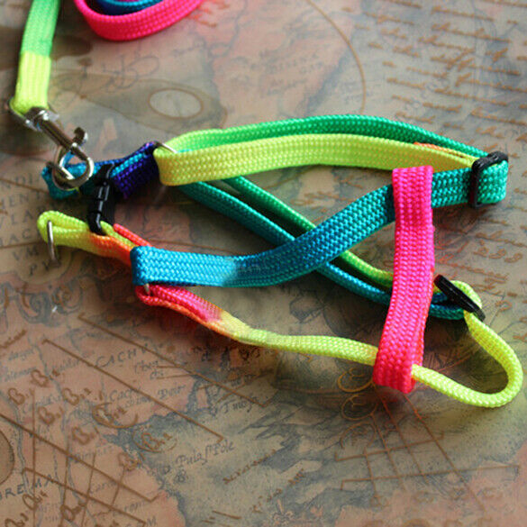 Strengthen Colorful Pets Puppy Lead Harness Leash Traction Rope Nylon