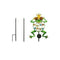 Solar Path Lights Outdoor Decorative Metal Frog Stake with 10 LEDs Globes for