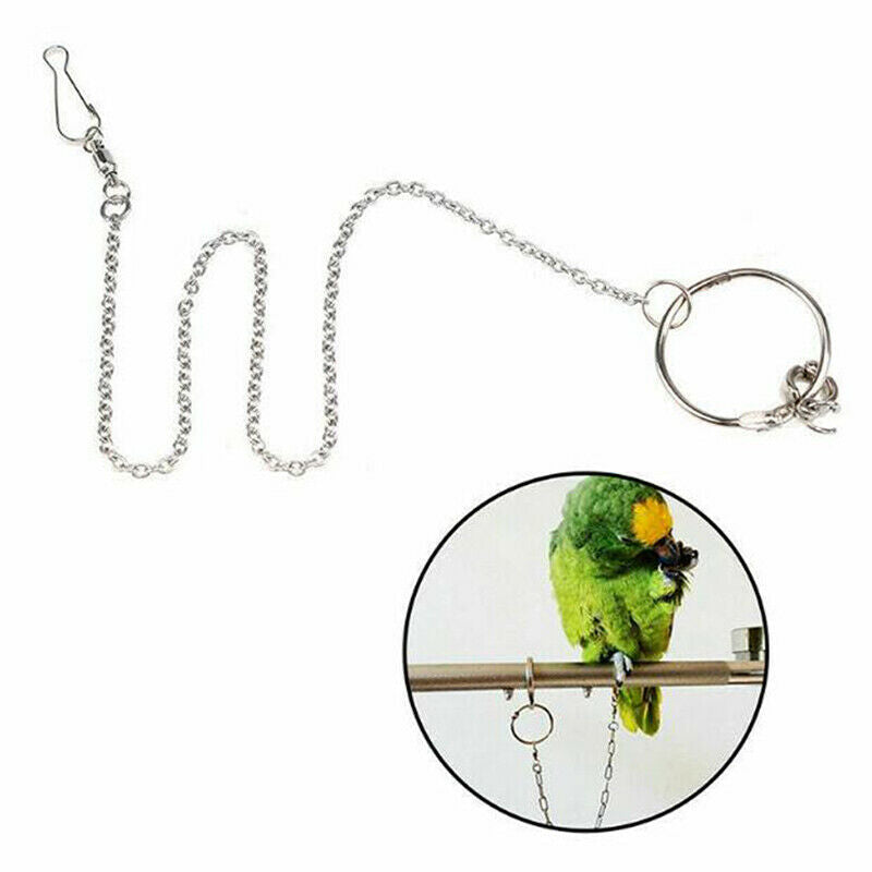 Parrot Leg Ring Ankle Foot Chain Bird Outdoor Flying Training Activity Stand JR