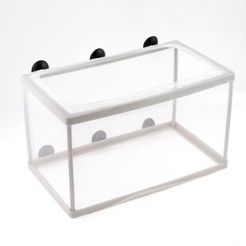Fish Tank Aquarium Plastic Frame White Net Fry Hatchery Breeder w 6 x Sucti