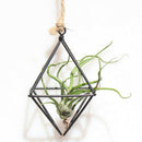 Freestanding Hanging Planters Geometric Swing Wrought Iron Tillandsia Air P D8Y2