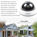 Simulation Virtual Dome Camera False Hemisphere Camera with Flashing Light