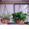 4pcs Hanging Flower Basket Round Flower