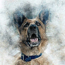 5D Diy Full Square Diamond Painting Animal Dog Embroidery Diamond Picture O