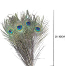 10x Natural Peacock Tail Eye Hair Feather Fly fishing Tying Flies Gift Stre H3G3