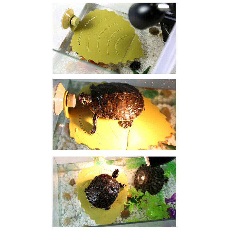 2 x Reptile Basking Platform with Suction Cup for Amphibian Turtle Frog Newt