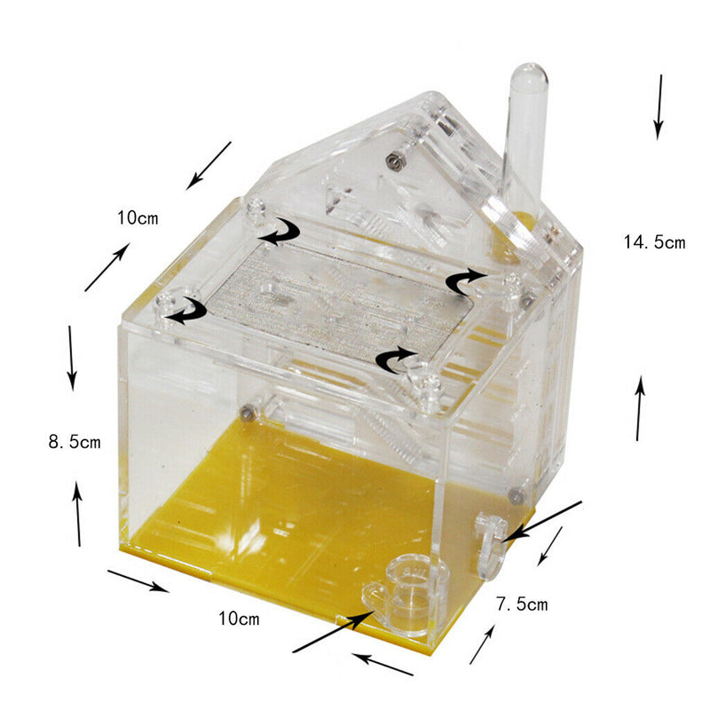 Formicarium Acrylic Transparent Feeding Breeding Box - Allows Study of