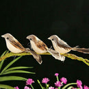 12pcs Artificial Bird Simulation Color Feather DIY Craft Wedding Home Decor