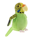 Lovely Speak Talking Record Parrot Repeats What You Say Electronic Parrot Plush