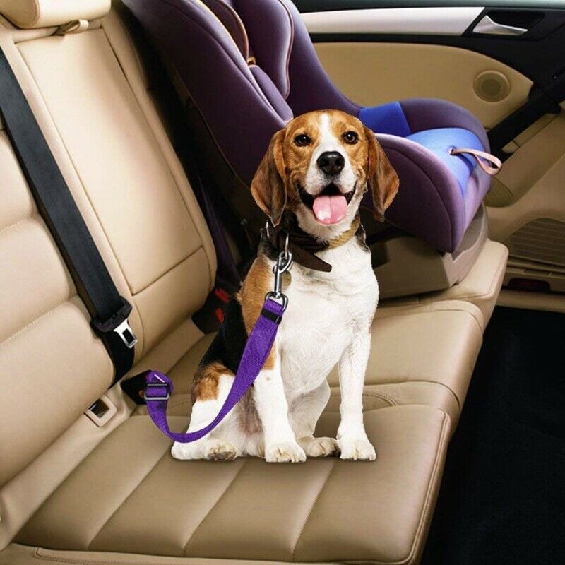 4 Packs Adjustable Pet Car Seat Belt Strap Dog Vehicle Seatbelt Harness SaftF2K6