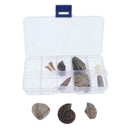 10pcs Rock Mineral Stone Amber Fossils Collection Education Science Specimen