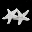 2pcs Seastar Aromatic Stones Fragrance Air