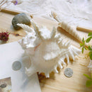 15-16M Queen Nautical Shells Conch Natural Seashell Beach Ocean Home Decora
