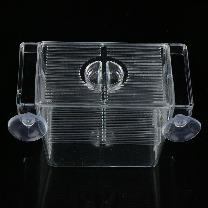 Acrylic Fish Tank Breeding Isolation Box Aquarium Hatchery Incubator HolderS Ew