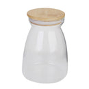 Hydroponic Flowers Plant Vase Bottle Terrarium Container Home Lanscape Decor