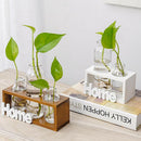 Tabletop Glass Terrarium for Hydroponics Plants Home Decor-3 Bottle