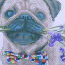 DIY 5D Dog Flower Diamond Embroidery Painting Cross Stitch Craft Home Decor