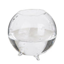 10Pcs Glass Flower Vase Micro Landscape Fairy Garden DIY Terrarium Bottle