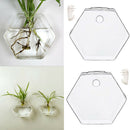 2 Pieces Wall Hanging Plant Terrarium Glass Planter for Home Decor, Hexagon