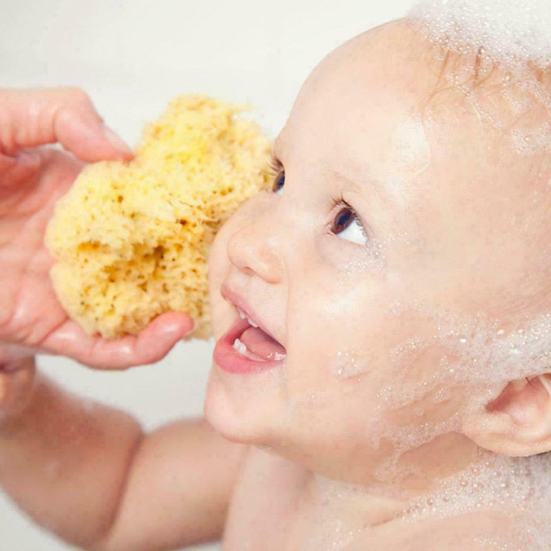 Baby rubbing bath ball Natural Honeycomb Bath Sea Sponge J8K4