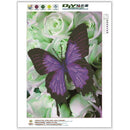 5D Diamond Embroidery Painting Butterfly Cross Stitch Craft Home Decor Kit