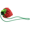 Strawberry Folding Fold up Reusable Compact Eco periodic duty Recycling use