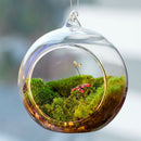 Hanging Glass Ball Vase Flower Plant Pot Stand Terrarium Containers Home  PDD