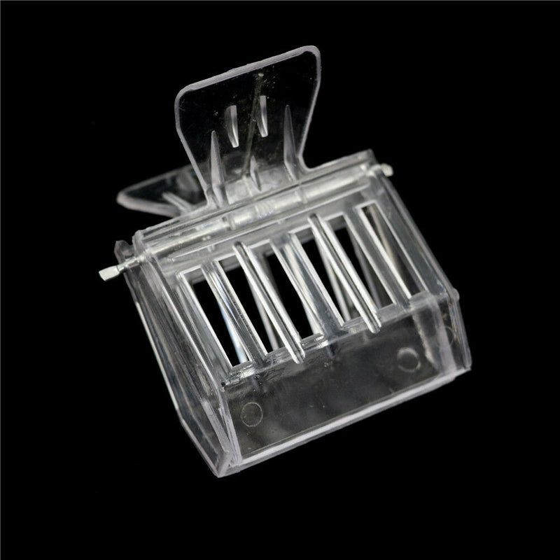 2Pcs Bee Tools Queen Cage Colorless Plastic Clip Bee Clip Beekeeping Equipmen FT