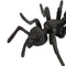 Plastic Life Cycle of Frog Ant Playset Cognitive Biology Toys Themed Party