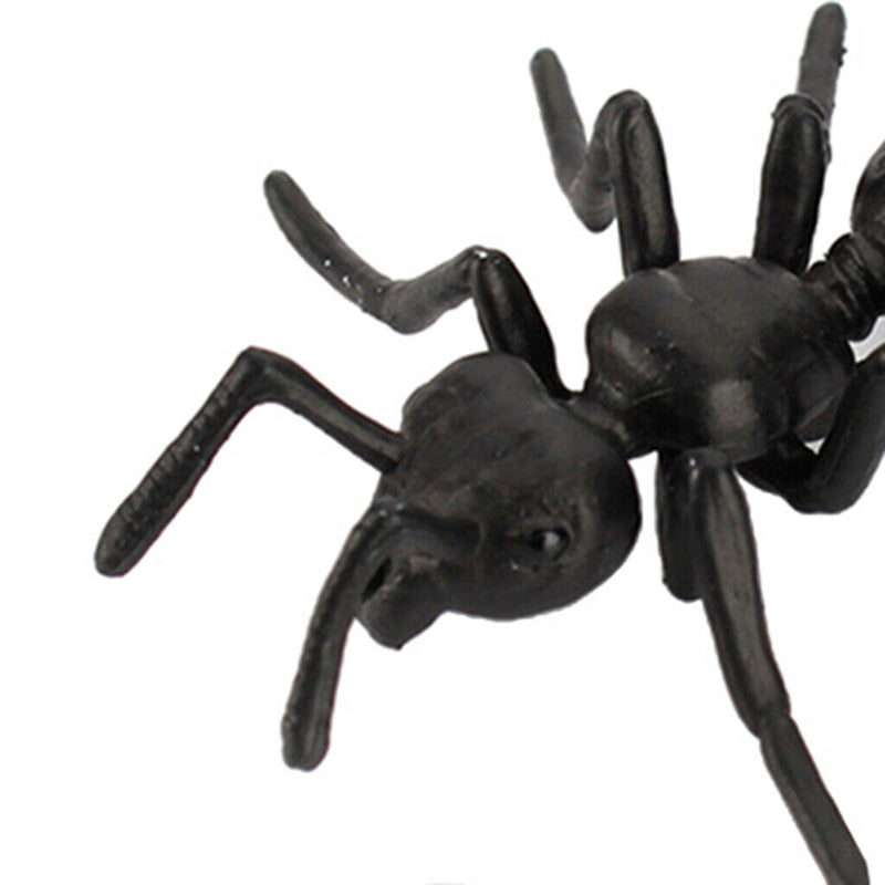 Plastic Life Cycle of Frog Ant Playset Cognitive Biology Toys Themed Party