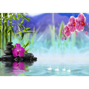 5D DIY Diamond Painting Fantasy Pond Lake Cross Stitch Embroidery Mosaic