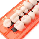Material Colors Dental Teeth Dentures Shade Alloy Pin Porcelain Guide Set