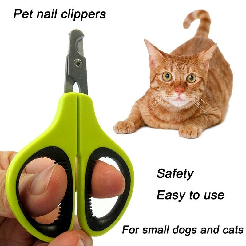 Cat Pet Dog Grooming Nail Toe Claw Clippers Cutter Plier Small dog cat nail