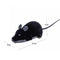 Wireless Electric RC Flocking Rat Toys Pet Cat Remote Control Mouse (Black) A