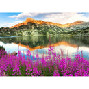 Natural Landscape Full Round Drill 5D Diamond Painting DIY Art Kit (c1420)
