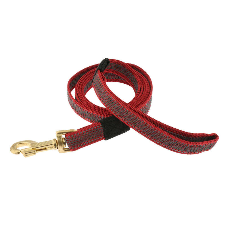 Durable Nylon Rope Dog Puppy Pet Training Leash with Clip for Collar Harness+Cat