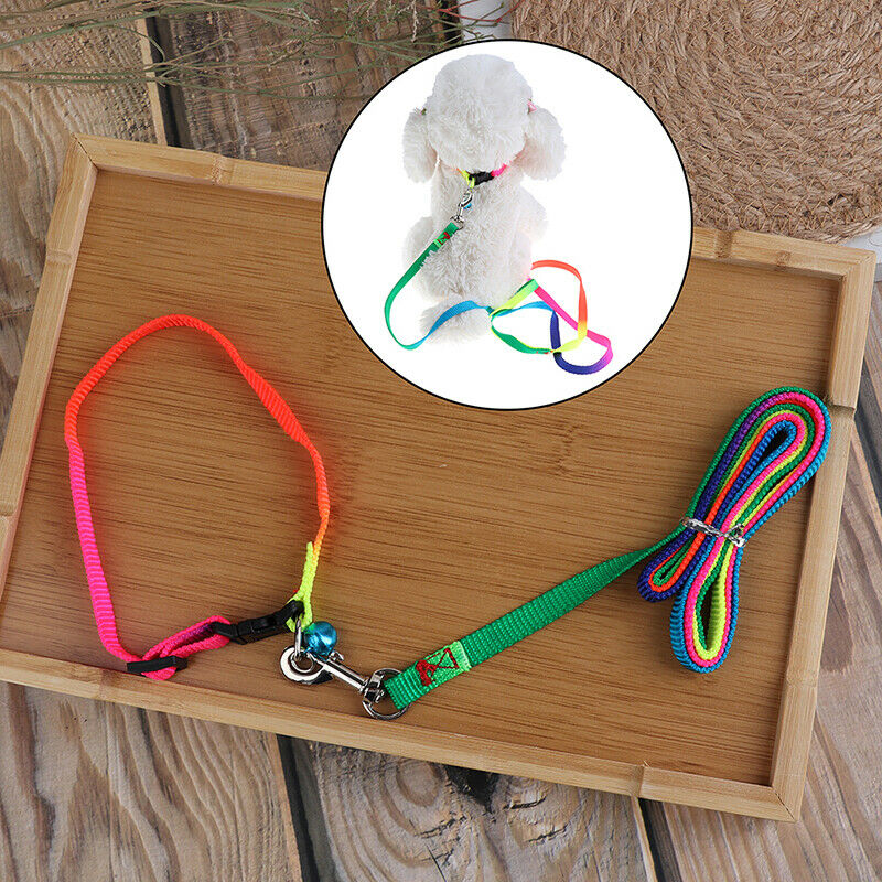 Colorful Rainbow Pet Dog Collar Harness Leash Soft Walking Durable Traction Rop-