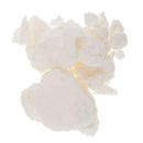 100g/Pack Well Dehydrated and Thick Pulp for Paper Making Papermaking Paper