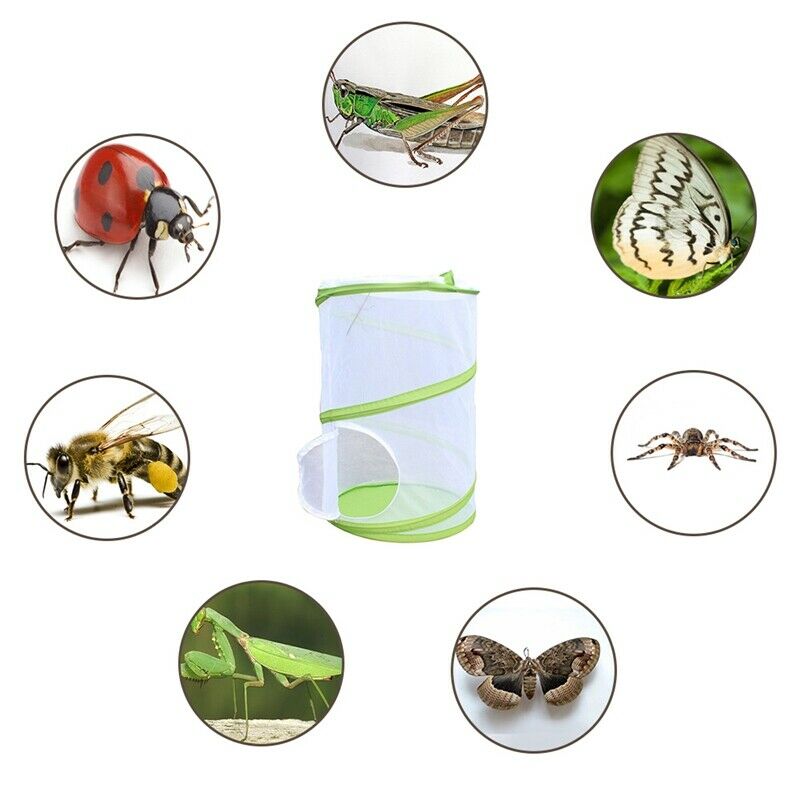 2X(Large Butterfly Cage Insects And Habitat Cage Pvc Pet Mosquito Net Plant