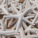 KF_12Pcs White Finger Starfish Pointer Sea Beach Wedding Coastal Decor Craft