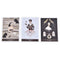 The Literary Witches Oracle 70 Cards Tarots Deck English Family Party Board  Hn