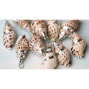 Natural Gilding Conch Shell Beads Pendants Charms for Jewelry Making Crafts
