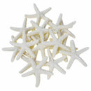 15 Pieces creamy-white Pencil Finger Starfish For Wedding Decor, Home Decor R2C8