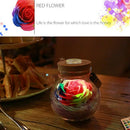 1X(Led RGB Dimmer Lamp Night Light Flower Bottle Creative Romantic Rose Bul