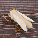 Natural DIY Bamboo Cicada Insects Kids Children Creative Educational Toys