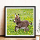 5D DIY Diamond Painting Donkey Full Round Drill Embroidery Home Decor Craft A