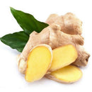 100 pcs ginger seeds 4 seasons zenzero jengibre zingiber seeds roscoe gengib ly