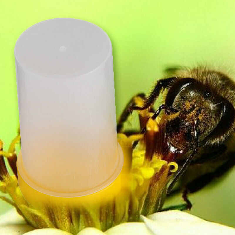 Beekeeping Beehive Water Feeder Bee Drinking Nest Entrance Beekeeper Cup Tool