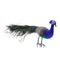 Vivid Artificial Peacock Bird Realistic Taxidermy Home Garden Yard